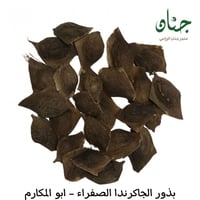 ‫بذور شجرة الجاكرندا الصفراء - ابو المكارم‬ ( Tipu...