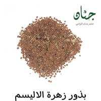 بذور زهرة الأليسم ( Lobularia maritima )