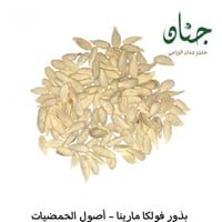 بذور فولكا مارينا - أصول الحمضيات ( Citrus Volkame...