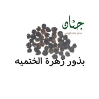 بذور زهرة الختمية الملونة ( Althaea )