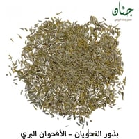 بذور زهور القحويان - الاقحوان البري ( Anthemis des...