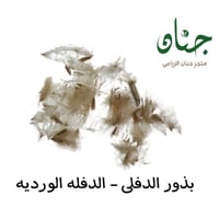 بذور الدفلى - الدفله الورديه (Nerium oleander)