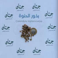 بذور زهرة الحنوة ( Calendula tripterocarpa )