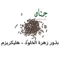 بذور زهرة الخلود - هليكريزم ( Helichrysum spp )