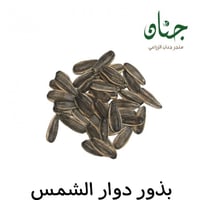 بذور دوار الشمس الأصفر ( Helianthus annuus )