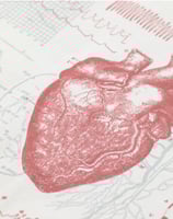 Anatomical Heart TOTE Bag