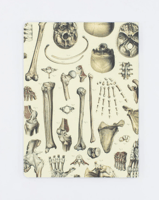 Skeleton Notebook