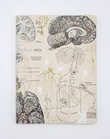 Neuroscience Notebook