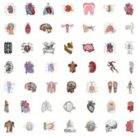 ملصقات تشريح الجسم ملونة (50 حبة) - Colored Human...