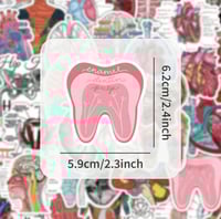 ملصقات تشريح الجسم ملونة (50 حبة) - Colored Human...