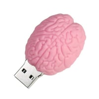 Brain USB 32GB