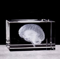 3D Brain Crystal Model