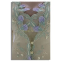 طقم عرائس قطعتين من DREAMS LINGERIES - 45152