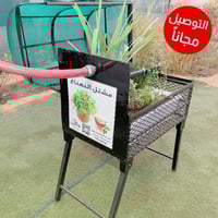 مشتل النعناع