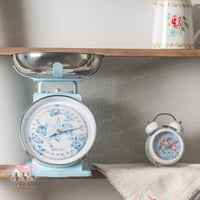 0754 ميزان ريترو معدني أنيق من إزابيل روز 3kg (سما...