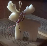 قالب الغزال الشتوي