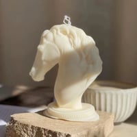 قالب سيلكون الحصان