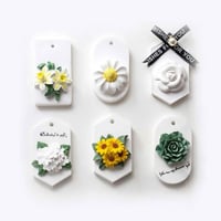 قالب التاقات