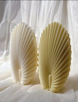 قالب سيلكون