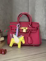 Birken Bag fushi ميني بيركن ( فوشي)