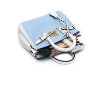 Birken Bag off-white ميني بيركن ( سكري)