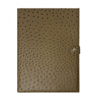 فولدر بني بجلد النعام