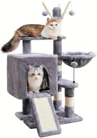 خداشة قطط لون رصاصي