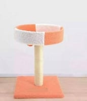 خداشة قطط لون برتقالي مقاس صغير