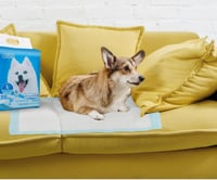 فرشات طبيه للقطط و لتدريب الجراء مقاس 60*90 سم 20ق...