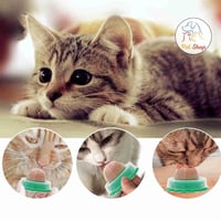 حلاوة الكاتنيب للقطط قابلة للصق على الجدار