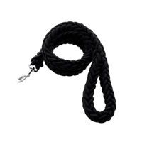 ليش كلاب عدة الوان