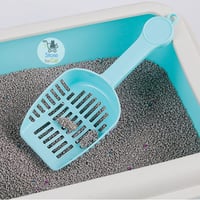 مغرفة رمل تنظيف عدة الوان