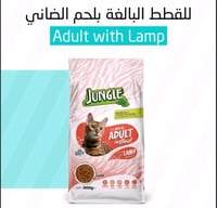 اكل قطط لحم الضأن من جنغل طعام صحي للقطط البالغة غ...