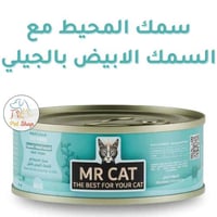 أكل قطط مستر كات رطب سمك المحيط مع السمك الأبيض با...