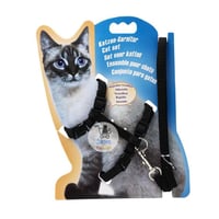 صدارية قطط عدة الوان