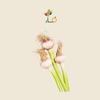 ثوم بلدي فلين صغير