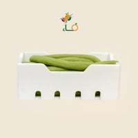 قثاء او طرح القصيم فلين كبير