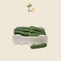 خيار القصيم فلين كبير