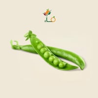 فول بلدي طازج فلين كبير