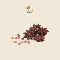 نجمة اليانسون