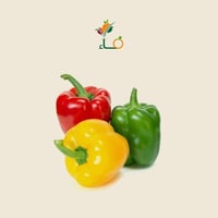 فلل رومي صحن صغير ملون