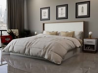 سرير مزدوج ابيض مع خشبي-موديل BD03