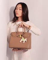 شنطة نسائية بتصميم كلاسيك بلون بني