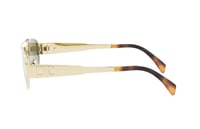 نظارة سيلين - CL40281U 30N