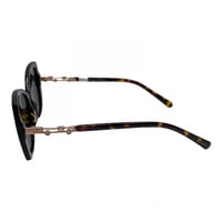 نظارة بروغهام-1486S C2