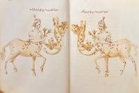 391-صورة مخطوط صور الكواكب اركان /عبدالرحمن الصوفي