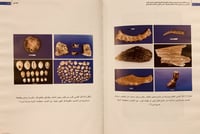 14488-الدور الاقتصادي والسياسي لموانئ الجزيرة العر...