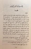 11439-نضرة الاغريض في نصرة القريض/المظفر العلوي