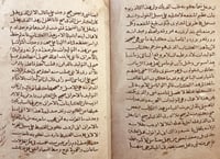 4956-الفلاحة النبطية الجزء السابع/ابن وحشية صورة م...