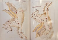 391-صورة مخطوط صور الكواكب اركان /عبدالرحمن الصوفي